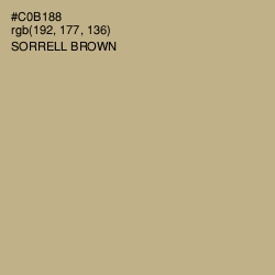 #C0B188 - Sorrell Brown Color Image